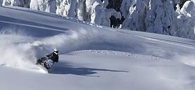 AST1 for Sledders